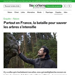 28-31 mai 2021 Partout en France, la bataille pour sauver les arbres s’intensifie