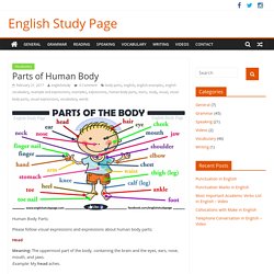 Parts of Human Body – English Study Page