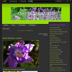 Jardin passion - Quelques plantes en… - Floraisons et… - Visite de la… - Ambiance automnale - Jardin d'Hannut