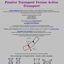 Passive Transport vs