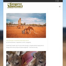 Tahnee Passmore, Author at The Kangaroo Sanctuary