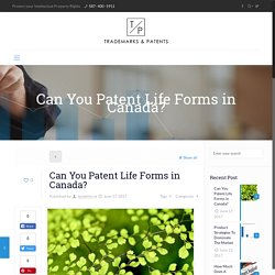 Can You Patent Life Forms In Canada? Edmonton & Calgary