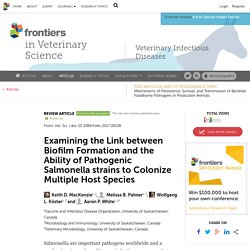 Front. Vet. Sci. 09/08/17 Examining the Link between Biofilm Formation and the Ability of Pathogenic Salmonella strains to Colonize Multiple Host Species