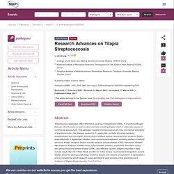 PATHOGENS 06/05/21 Research Advances on Tilapia Streptococcosis