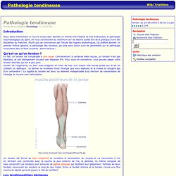 Pathologie tendineuse