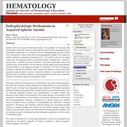 Pathophysiologic Mechanisms in Acquired Aplastic Anemia