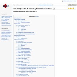 Patologia del aparato genital masculino (I) - MisApuntes