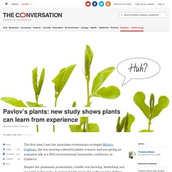 Pavlov's plants: new study shows plants can learn from experience