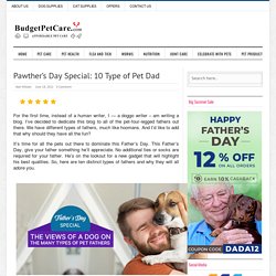 Pawther’s Day Special: 10 Type of Pet Dad - BudgetPetCare.com
