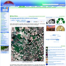 Un paysage agricole bien ordonné vu de l'espace