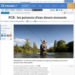 PCB : les poissons d'eau douce menacés