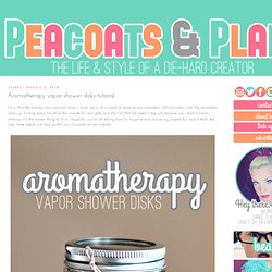 Aromatherapy vapor shower disks tutorial.