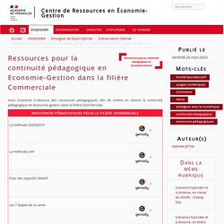 Ressources pour la continuité pédagogique en Economie-Gestion dans la filière Commerciale