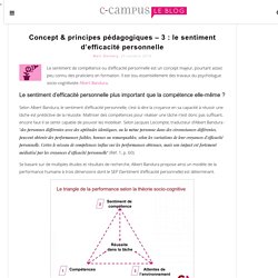 Concept & principes pédagogiques – 3 : le sentiment d’efficacité personnelle