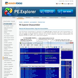 PEExplorer Windows Disassembler for Win 32-bit Program EXE DLL OCX, Code Binary Analysis