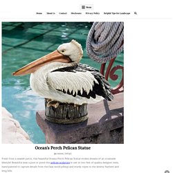 Ocean's Perch Pelican Statue