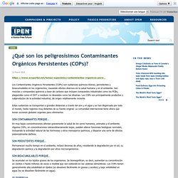 ¿Qué son los peligrosísimos Contaminantes Orgánicos Persistentes (COPs)?