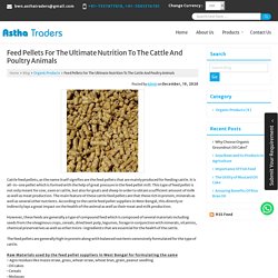 Feed Pellets for the Ultimate Nutrition to the Cattle and Poultry animals