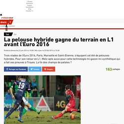 Eco - La pelouse hybride gagne du terrain en L1 avant l'Euro 2016