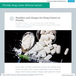 Penalties and charges for Drug Crimes in Florida