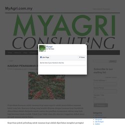 KAEDAH PENANAMAN DAN PENGURUSAN KOPI - MyAgri.com.myMyAgri.com.my