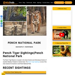 Pench Tiger Sightings