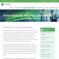 Penetration Testing Consulting Services