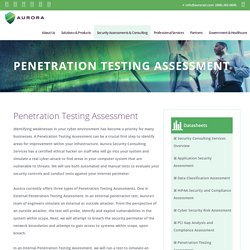 Penetration Testing Consulting Services by AuroraIT