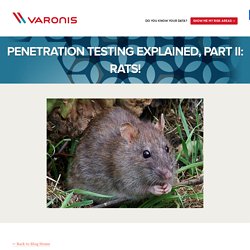 Penetration Testing Explained, Part II: RATs!