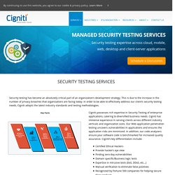 Security Testing, Penetration & Vulnerability Testing Services