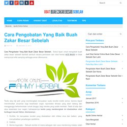 Cara Pengobatan Yang Baik Buah Zakar Besar Sebelah