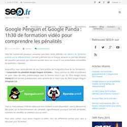 Google Penguin & Google Panda : Comprendre les pénalités