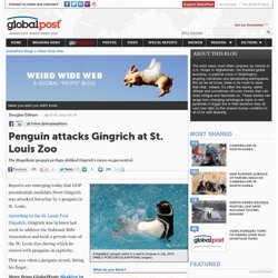 Penguin attacks Gingrich at St. Louis Zoo