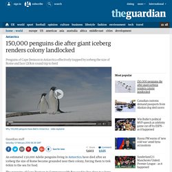 150,000 penguins die after giant iceberg renders colony landlocked