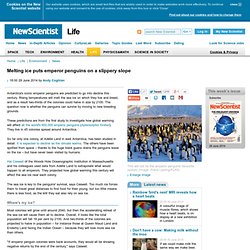 Melting ice puts emperor penguins on a slippery slope - life - 29 June 2014