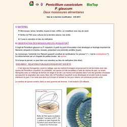 Penicillium caseicolum glaucum moisissures alimentaires