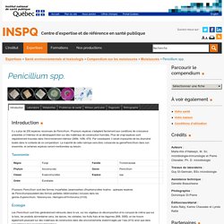 Penicillium spp. - INSPQ - Institut national de santé publique du Québec