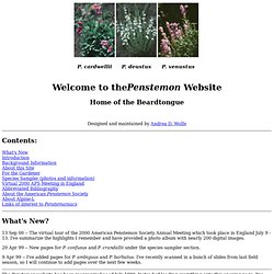Penstemon Website