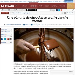 Une pénurie de chocolat se profile dans le monde
