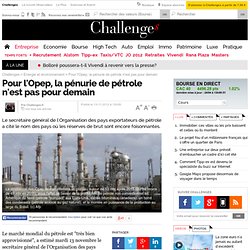 Pour l'Opep, la pénurie de pétrole n'est pas pour demain