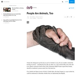 People Are Animals, Too