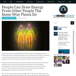 People Can Draw Energy From Other People The Same Way Plants Do