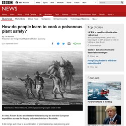 How do people learn to cook a poisonous plant safely? (An example of culture developing)