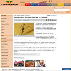 5000 people die of malaria each year in Cameroon
