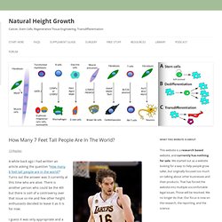 How Many 7 Feet Tall People Are In The World? - Natural Height Growth