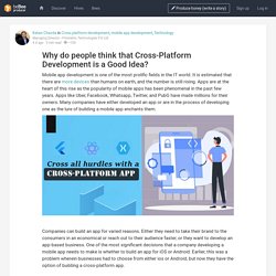 Why do people think that Cross-Platform Development is a Good Idea?