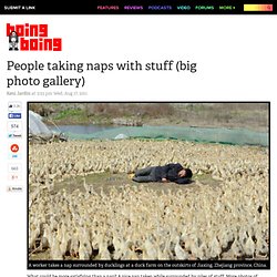 People taking naps with stuff (big photo gallery)