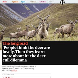 ‘People think the deer are lovely. Then they learn more about it’: the deer cull dilemma