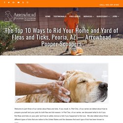 The Top 10 Ways to Rid Your Home and Yard of Fleas and Ticks, Peoria, AZ - Arrowhead Pooper Scoopers -