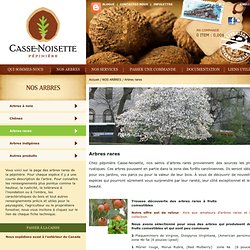 Pépinière Casse-Noisette - Arbres rares